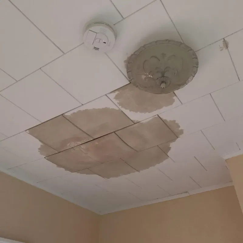 Ceiling Water Damage Repair in Cowpens, SC